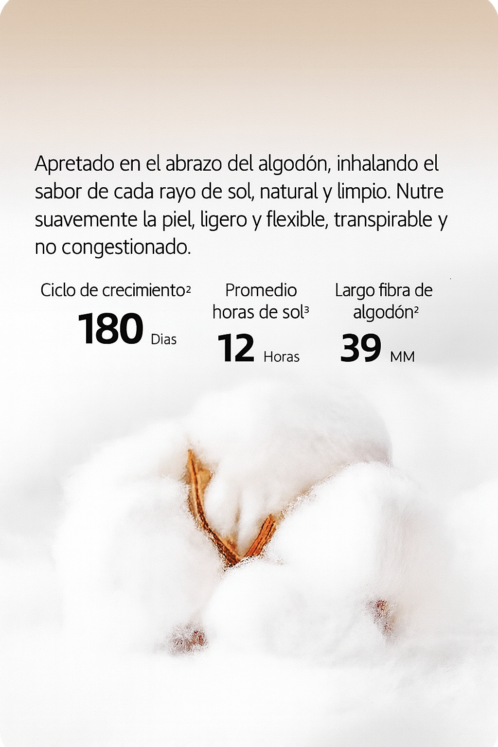 Juego De Sábanas 100% Algodón Minimalista Lujo Minimalista y Sofisticado 4pcs